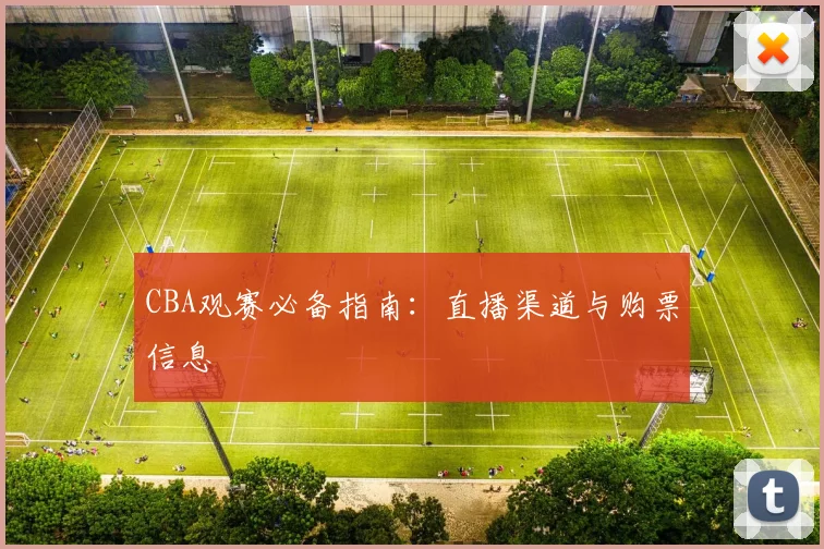 CBA观赛必备指南:直播渠道与购票信息