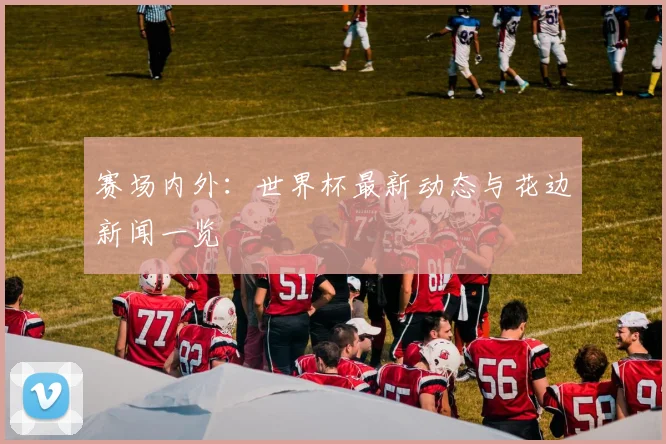 赛场内外：世界杯最新动态与花边新闻一览